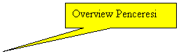 Rectangular Callout: Overview Penceresi